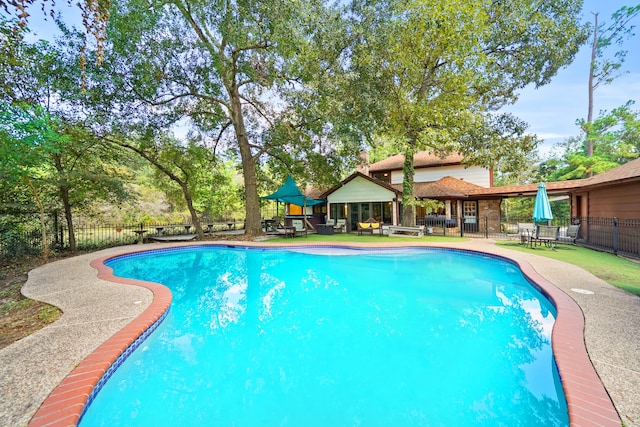 view of pool featuring a patio