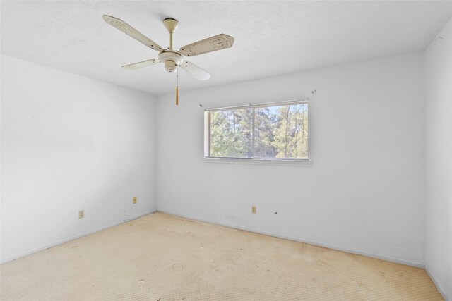 4016 State Highway 30 W, Huntsville, TX 77340 - photo 18