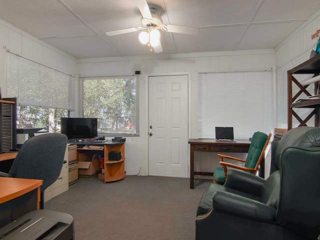 carpeted office with ceiling fan