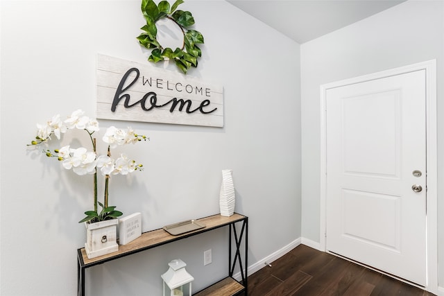 foyer entrance featuring dark wood-type flooring