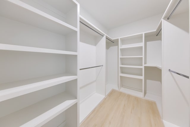 spacious closet with hardwood / wood-style floors