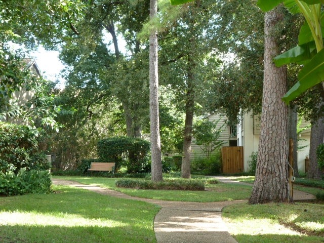 view of community featuring a lawn