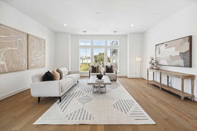 living room featuring hardwood / wood-style flooring