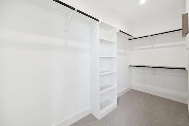 walk in closet featuring light colored carpet