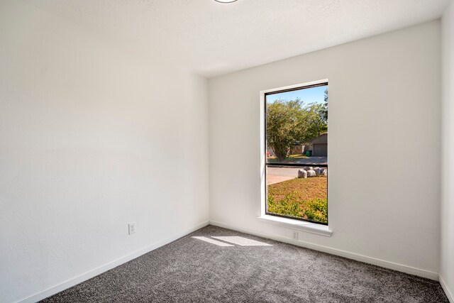 spare room with carpet floors