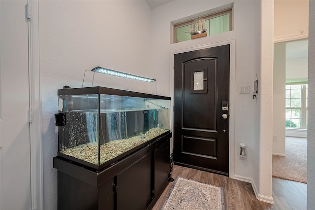 entrance foyer with hardwood / wood-style flooring