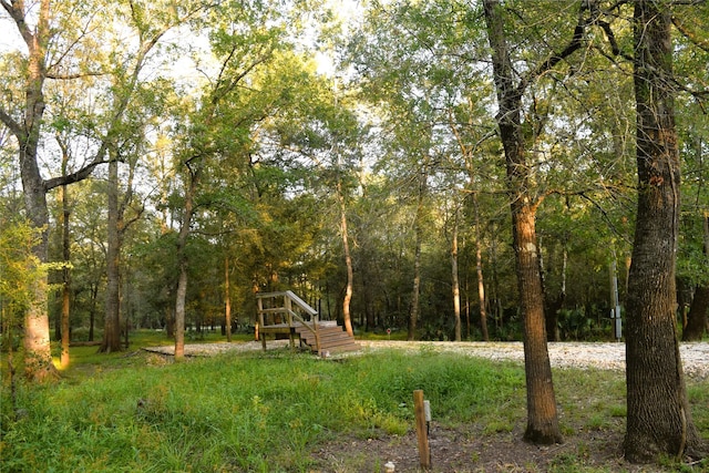 271 Center Dr, Cleveland, TX 77327 - photo 8