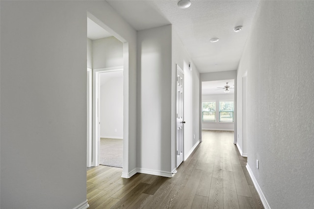 hallway featuring hardwood / wood-style floors