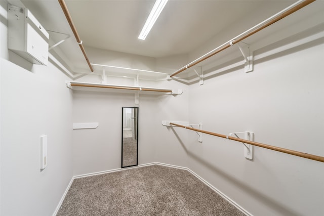 spacious closet with carpet flooring