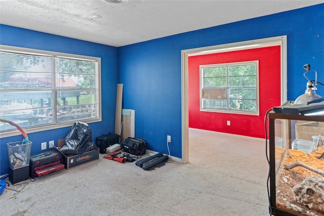 miscellaneous room featuring a textured ceiling and carpet flooring