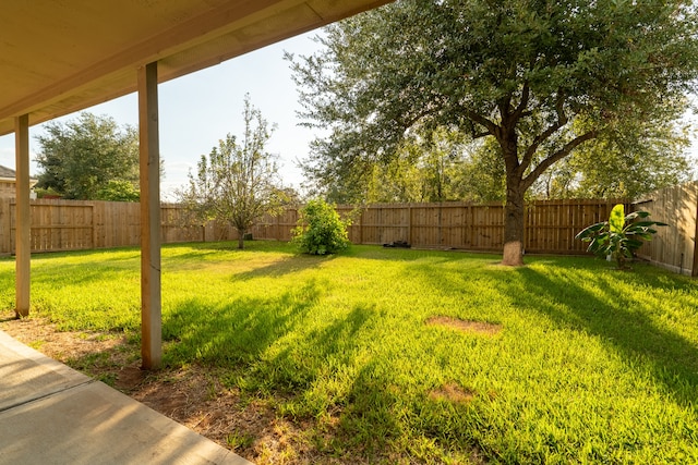 view of yard