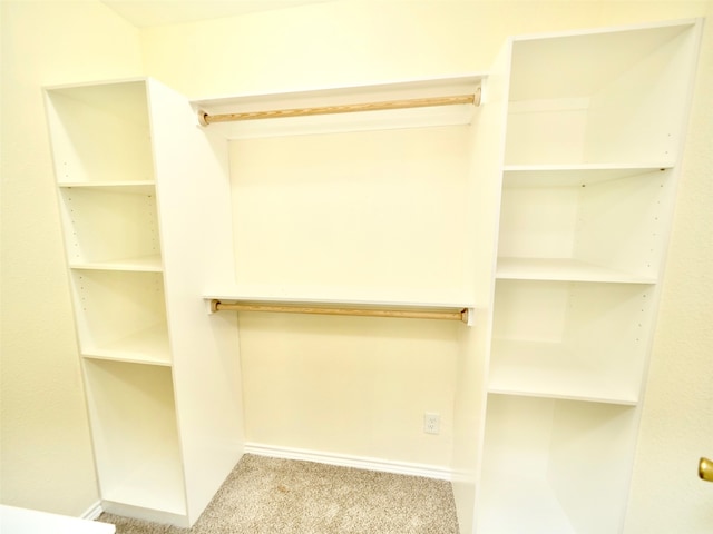 walk in closet with light colored carpet