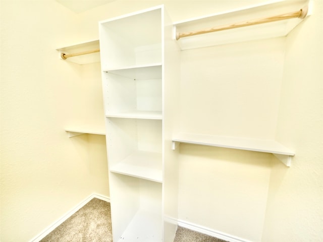 spacious closet featuring carpet flooring