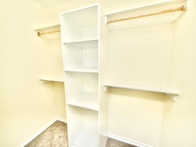 spacious closet with carpet