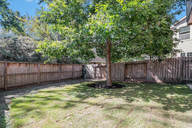 207 Cheswood Forest Pl, Montgomery, TX 77316 - view of yard with a fenced backyard