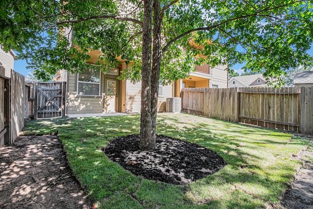 207 Cheswood Forest Pl, Montgomery, TX 77316 - view of yard featuring a fenced backyard