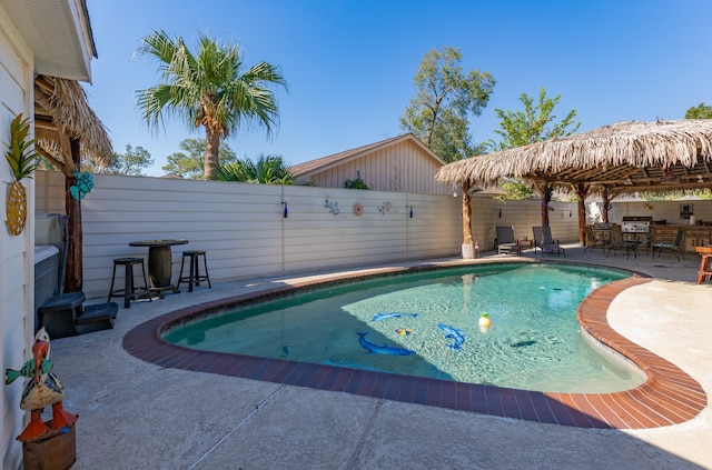 view of swimming pool featuring a patio area