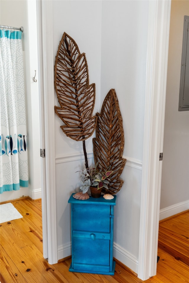 details with electric panel and hardwood / wood-style flooring