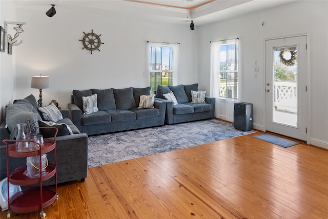 living room featuring wood-type flooring