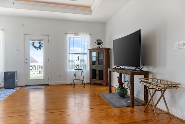 foyer entrance with wood-type flooring