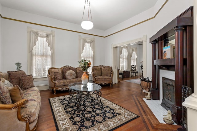 living room featuring dark hardwood / wood-style flooring