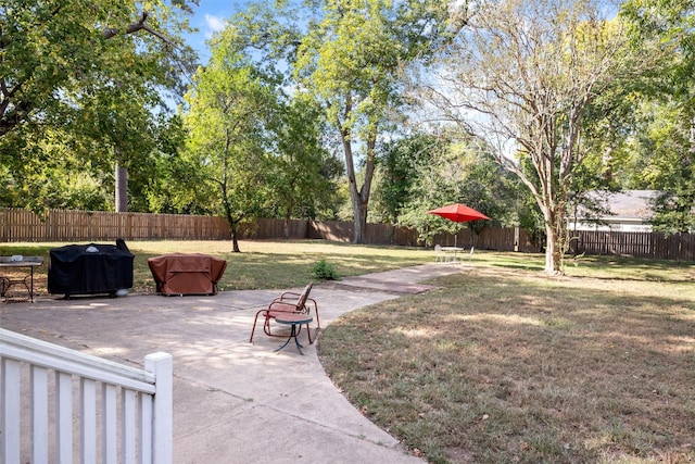 view of yard featuring a patio