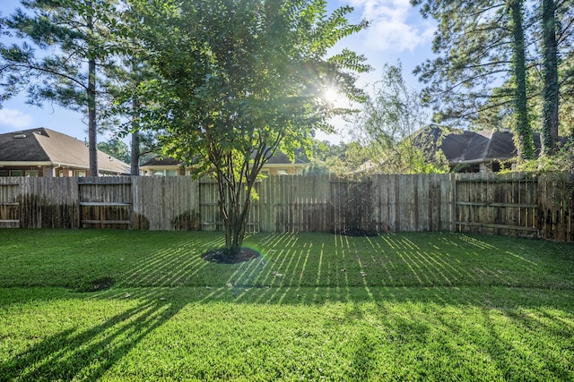 view of yard featuring a fenced backyard