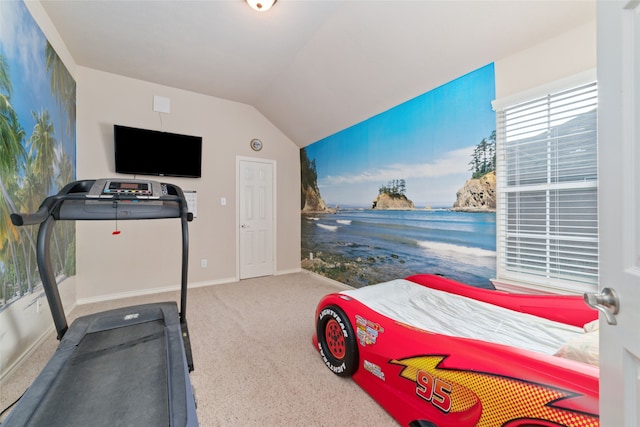 exercise room with lofted ceiling and carpet