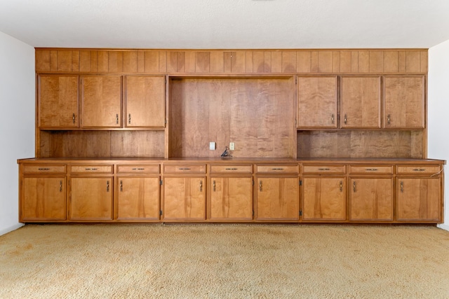 kitchen featuring wood walls and light colored carpet