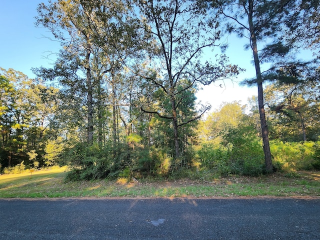 0 Hackberry Dr, Onalaska TX, 77360 land for sale