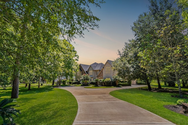 view of community with a yard