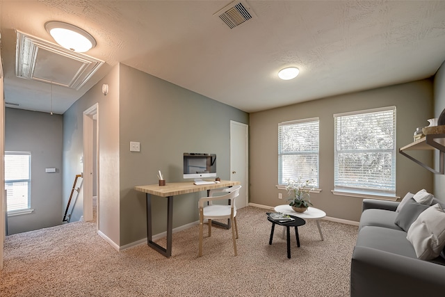 office area featuring carpet floors, a textured ceiling, and a healthy amount of sunlight