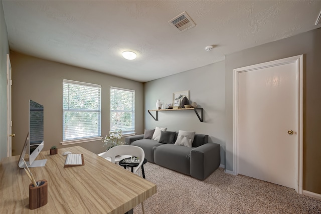 living room with carpet floors and a textured ceiling