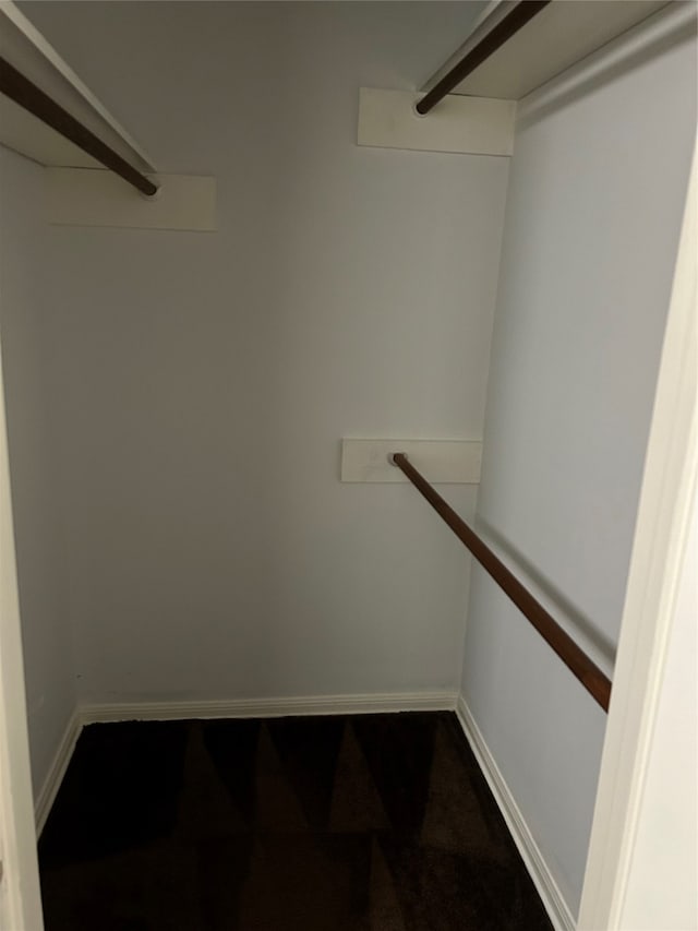 walk in closet featuring carpet flooring