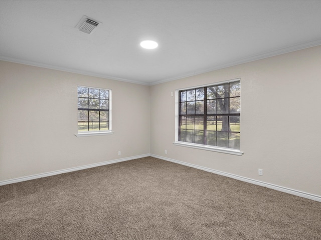 empty room featuring carpet floors and ornamental molding