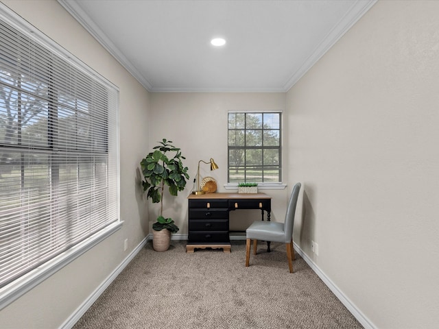 carpeted office space with ornamental molding