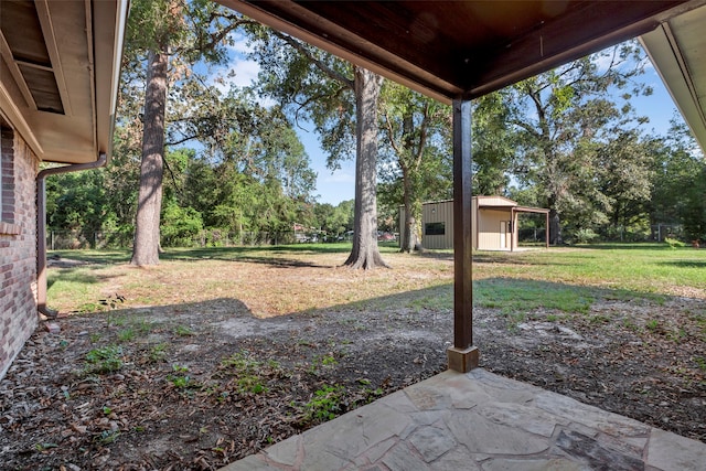 view of yard featuring a patio and a storage unit