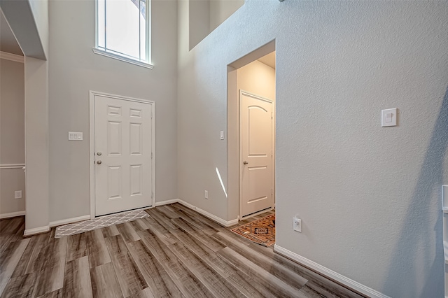 foyer entrance featuring light hardwood / wood-style floors and a high ceiling