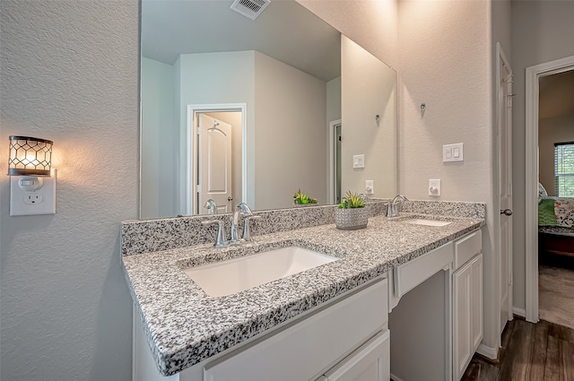 bathroom with wood-type flooring and vanity