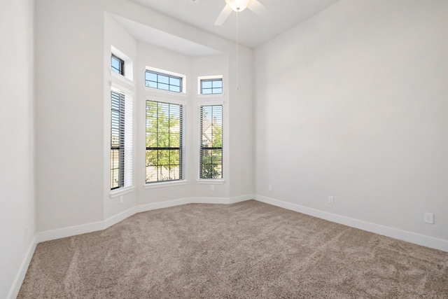 empty room featuring carpet