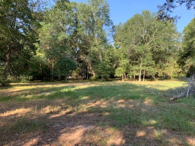 Listing photo 2 for 0000 Kickapoo Rd, Hockley TX 77447