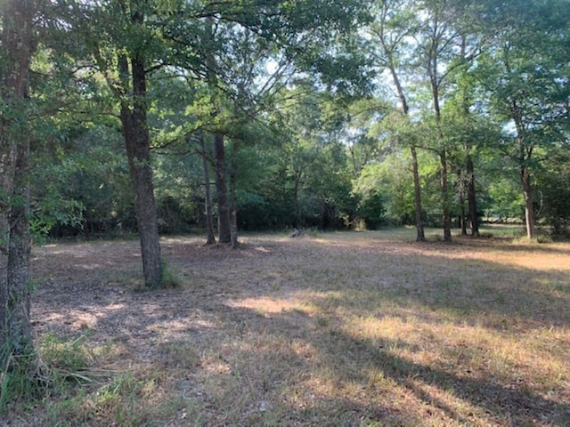 Listing photo 3 for 0000 Kickapoo Rd, Hockley TX 77447