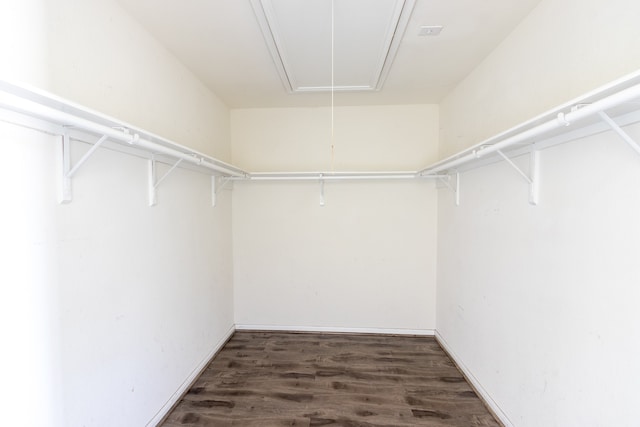 spacious closet featuring dark wood-type flooring