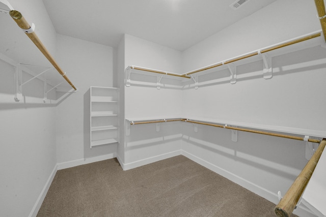 spacious closet featuring carpet