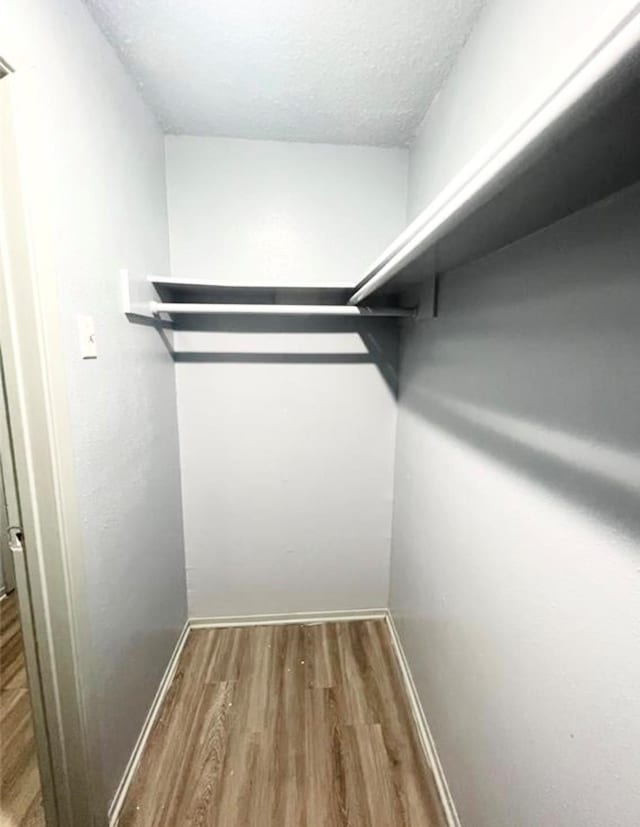 spacious closet with hardwood / wood-style flooring