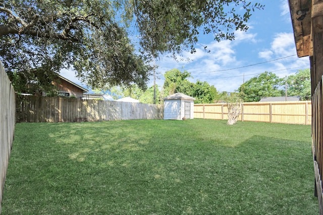 view of yard featuring a storage shed