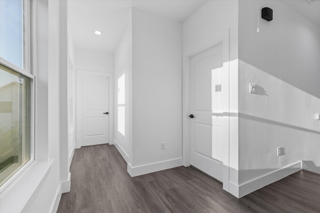 hallway featuring dark hardwood / wood-style flooring and a healthy amount of sunlight