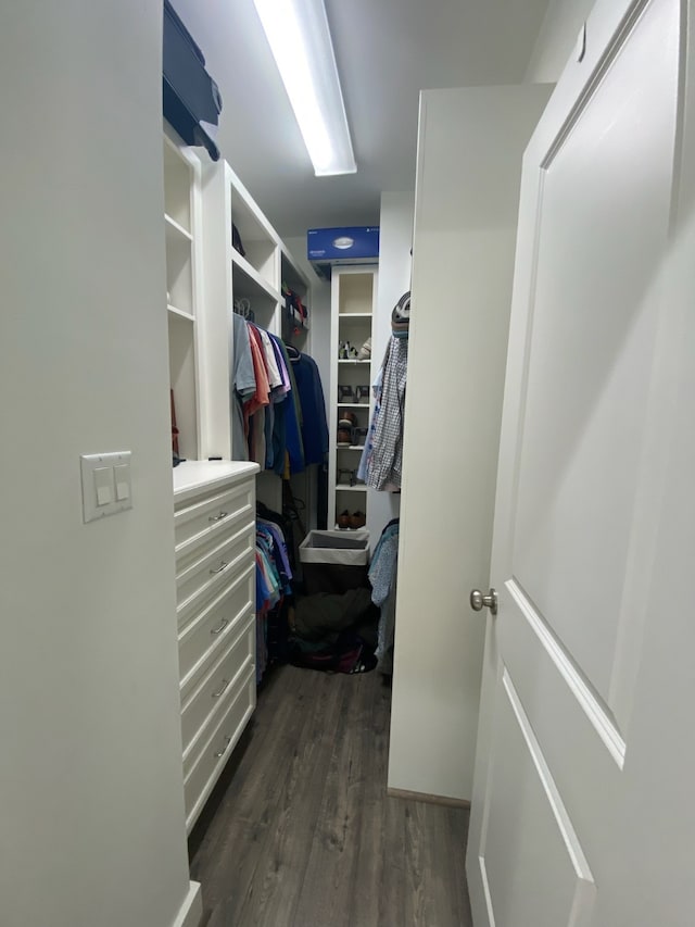 spacious closet with dark hardwood / wood-style floors