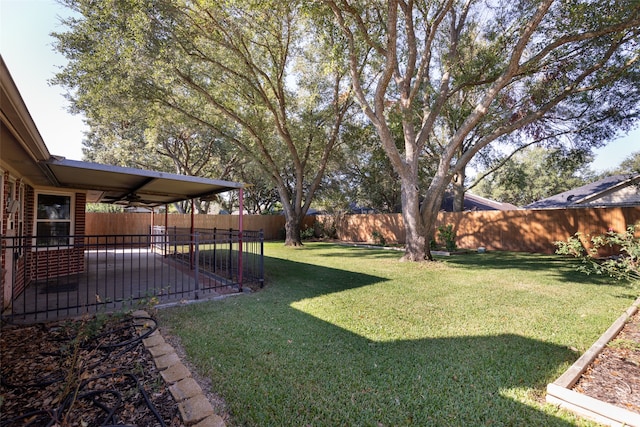 view of yard featuring a patio area