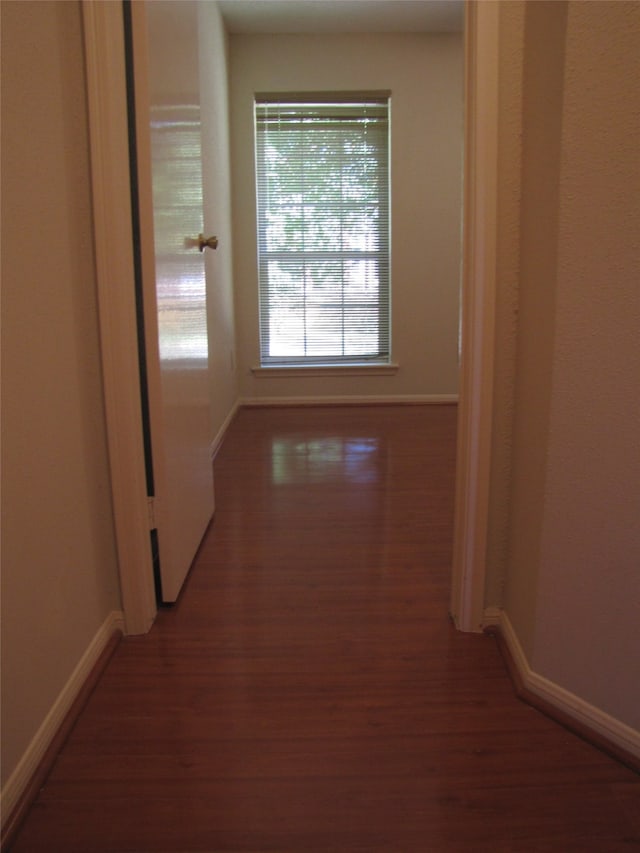 hall with dark hardwood / wood-style flooring